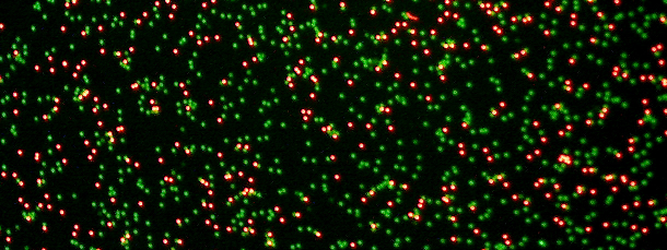 1784791055903915.png Fluorescent-Blend-Particle-edit_1.png