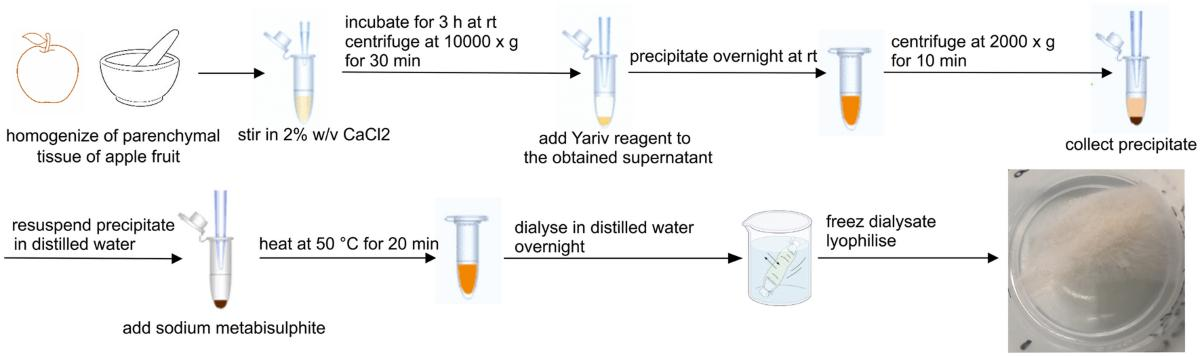 Yariv试剂与阿拉伯半乳聚糖蛋白 Yariv试剂与阿拉伯半乳聚糖蛋白