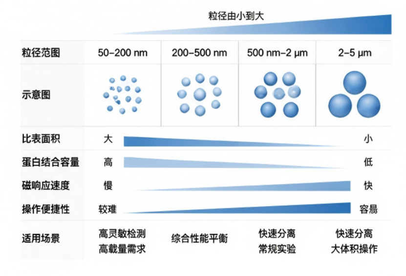 磁珠粒径选型 磁珠粒径选型
